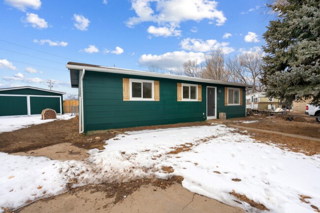 3736 Boxelder Ct in Wellington, CO - Building Photo - Building Photo