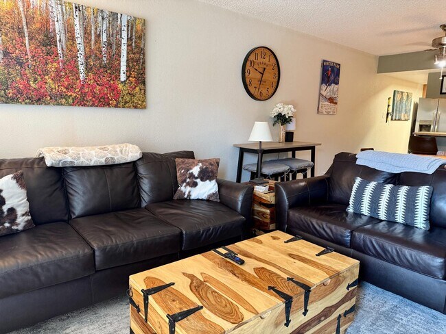 12 Meadow Ln in Fraser, CO - Building Photo - Building Photo