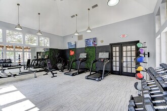 Villages of Briar Forest in Houston, TX - Foto de edificio - Building Photo