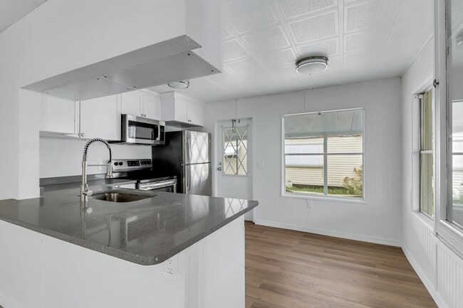 243 Tangerine Dr in Ft. Myers, FL - Building Photo - Building Photo