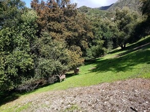 2327 Dorothy St in La Crescenta, CA - Building Photo - Building Photo