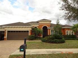20207 Oak Thorn Way in Tampa, FL - Building Photo