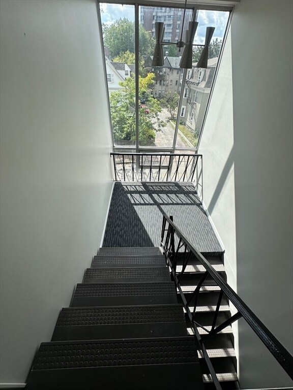 375 Harvard St in Cambridge, MA - Building Photo - Building Photo