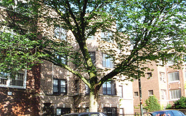 7234-7238 S Coles Ave in Chicago, IL - Foto de edificio - Building Photo