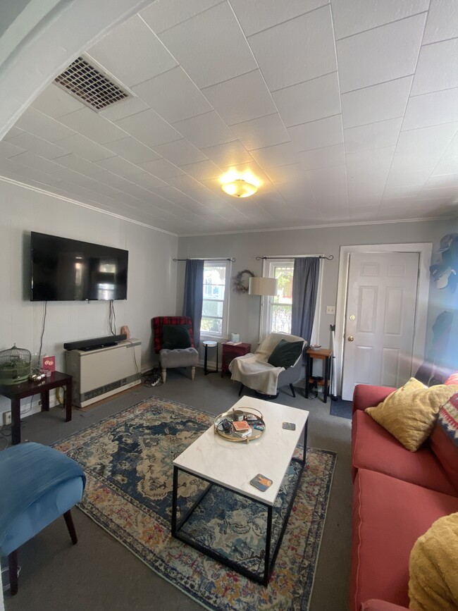 216 Utica St in Ithaca, NY - Building Photo - Building Photo