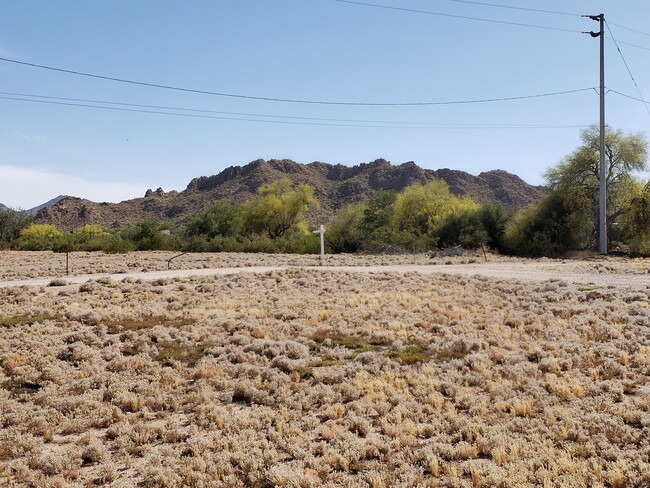 51542 W Blue Jay St in Maricopa, AZ - Building Photo - Building Photo