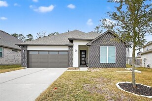 13304 Big Sky Ct in Shenandoah, TX - Building Photo