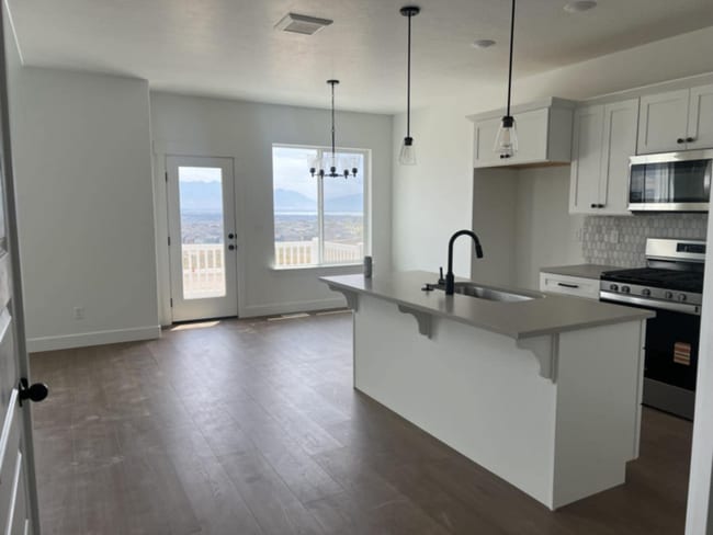 2868 Blue Dawn Ln in Saratoga Springs, UT - Building Photo - Building Photo