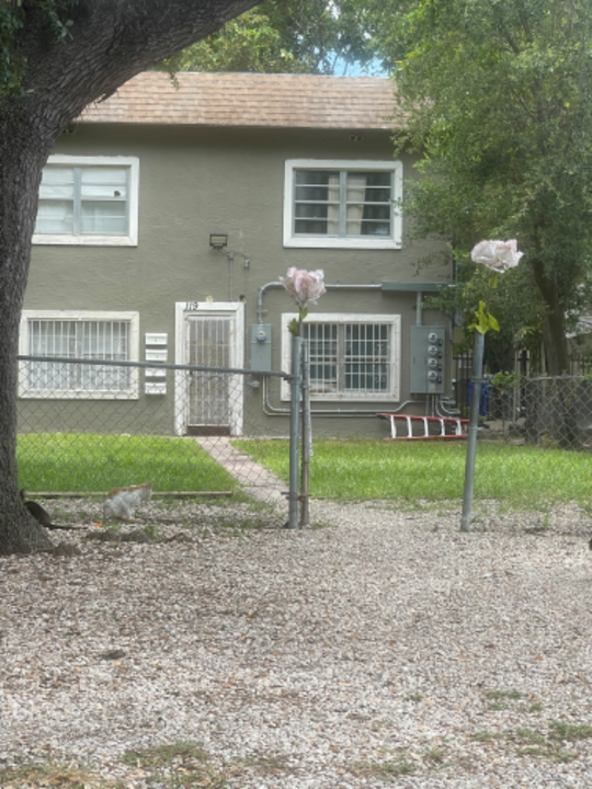 119 NE 63rd St-Unit -3 in Miami, FL - Foto de edificio