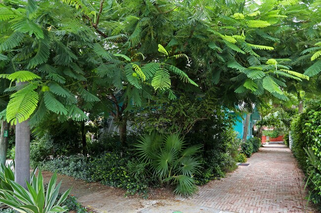 1508 Georgia Ave in West Palm Beach, FL - Building Photo - Building Photo