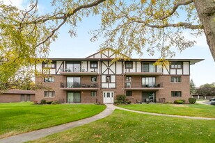 11045 Theresa Cir in Palos Hills, IL - Building Photo