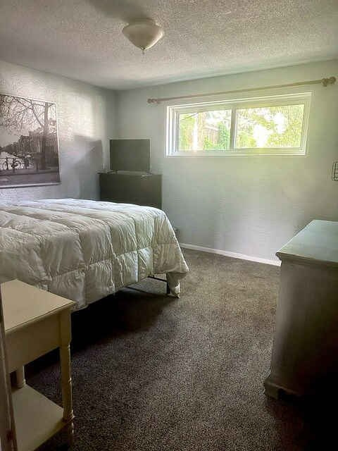 3634 Alpine Pl in Colorado Springs, CO - Building Photo