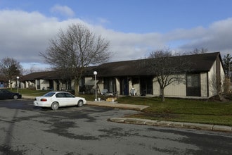 Emerson Manor in Lake Odessa, MI - Foto de edificio - Building Photo