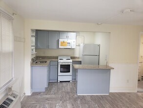 212 Regent St in Saratoga Springs, NY - Building Photo - Building Photo