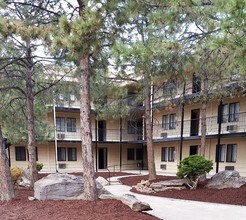 Williamsburg Community in Denver, CO - Building Photo - Building Photo