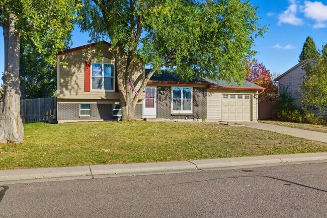 11246 Donley Dr in Parker, CO - Building Photo - Building Photo
