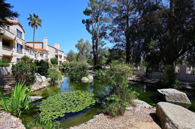 10080 E Mountainview Lake Dr in Scottsdale, AZ - Foto de edificio - Building Photo