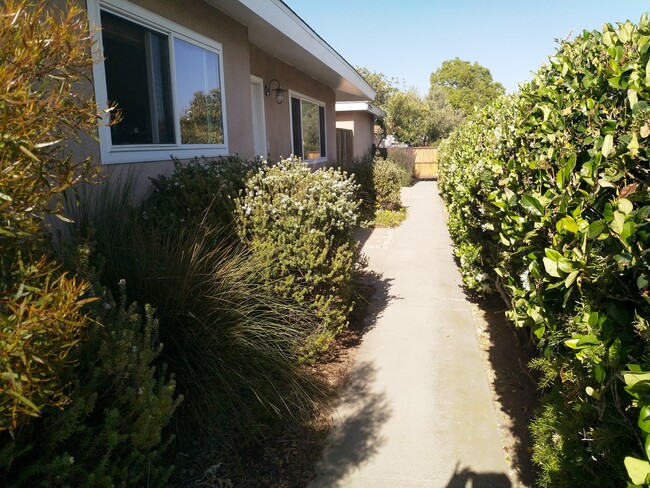 525 Penn St in El Segundo, CA - Foto de edificio - Building Photo