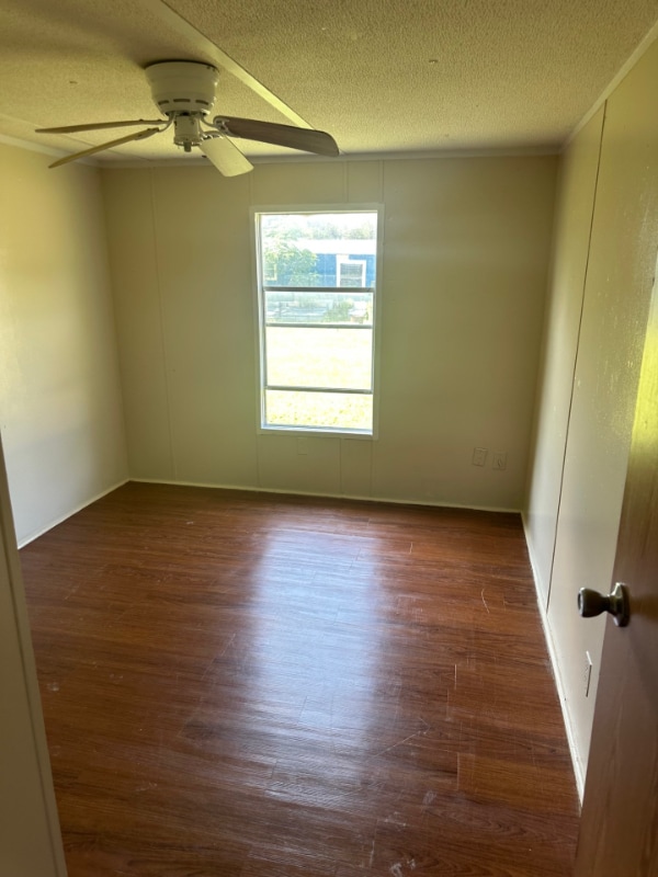 3381 Briana Dr in Belton, TX - Building Photo - Building Photo