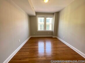 20 JFK St., Unit 8 in Cambridge, MA - Building Photo - Building Photo
