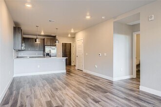 20 Wilcox St in Castle Rock, CO - Foto de edificio - Building Photo