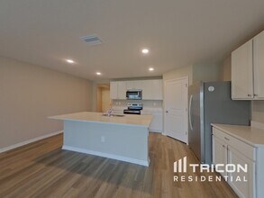 10844 Gentle Current Wy in Parrish, FL - Building Photo - Building Photo