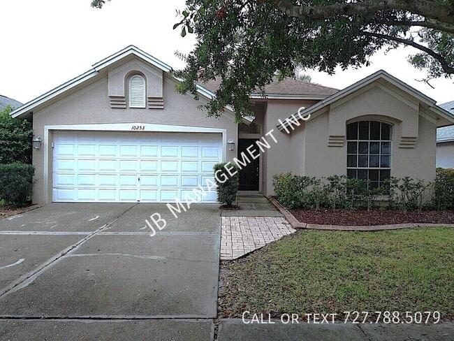 property at 10253 Oasis Palm Dr
