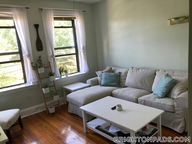 316 Summit Ave in Boston, MA - Building Photo - Building Photo