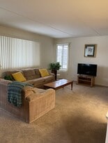 Towers of Edgewater in Tinley Park, IL - Building Photo