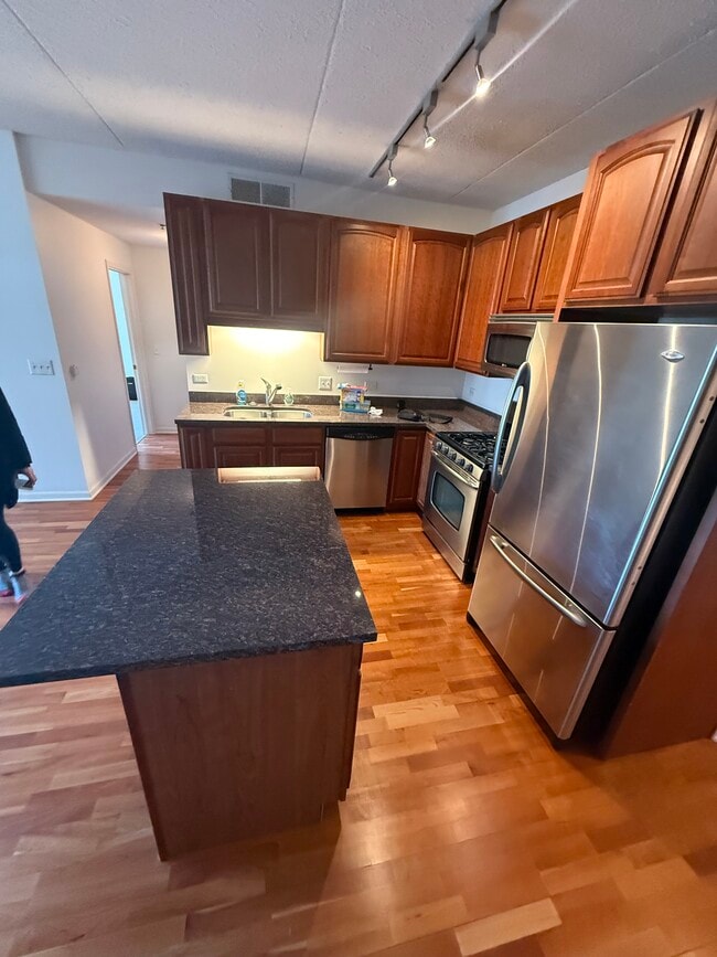 1250 S Indiana Ave, Unit 1012 in Chicago, IL - Building Photo - Building Photo