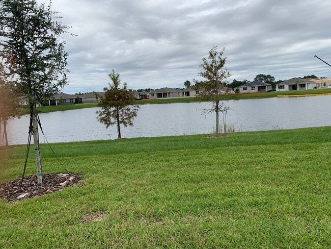 property at 17841 Blazing Star Cir