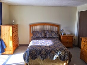1186 Worcester Rd, Unit 1221 in Framingham, MA - Building Photo - Building Photo