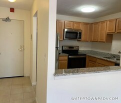 245 Main St, Unit 61 in Watertown, MA - Building Photo