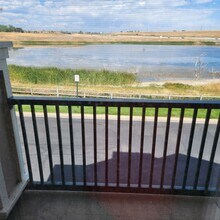 1935 Piper St in Louisville, CO - Building Photo - Building Photo