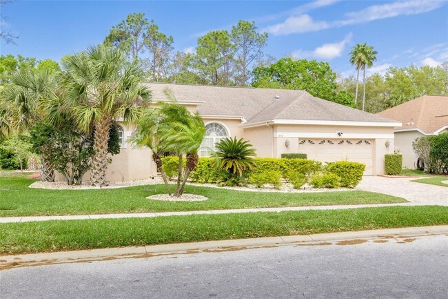 3713 Siena Ln in Palm Harbor, FL - Foto de edificio - Building Photo