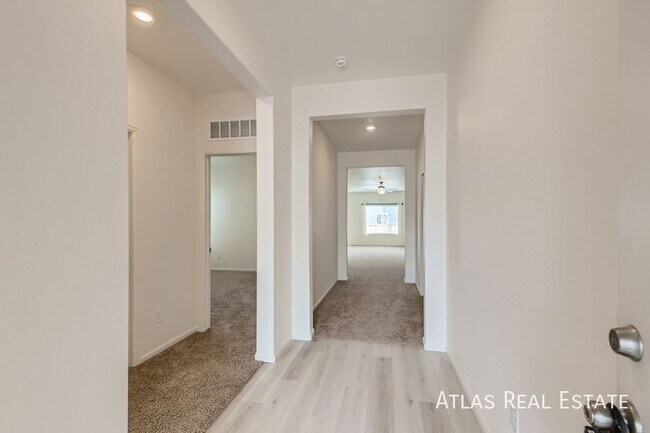 987 Cascade Falls St in Windsor, CO - Building Photo - Building Photo