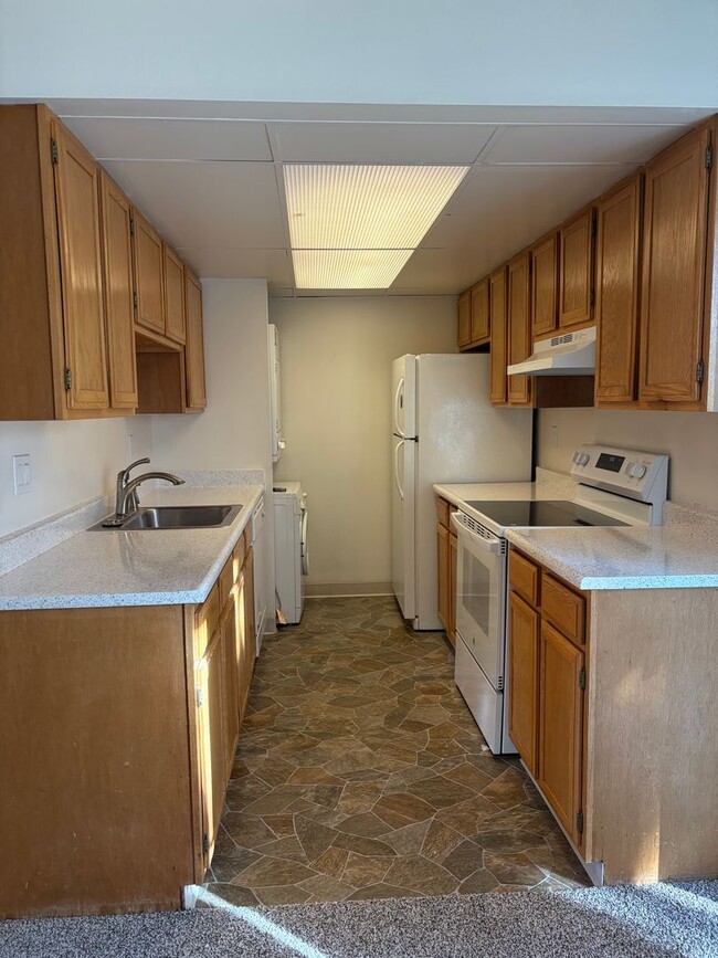 5005 Rainbow Harbour Cir in Colorado Springs, CO - Building Photo - Building Photo