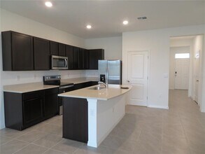 17212 Bigleaf Mahogany Ln in Land O Lakes, FL - Building Photo - Building Photo