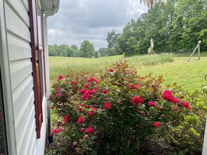 3 Hunting Creek Rd in North Wilkesboro, NC - Building Photo - Building Photo