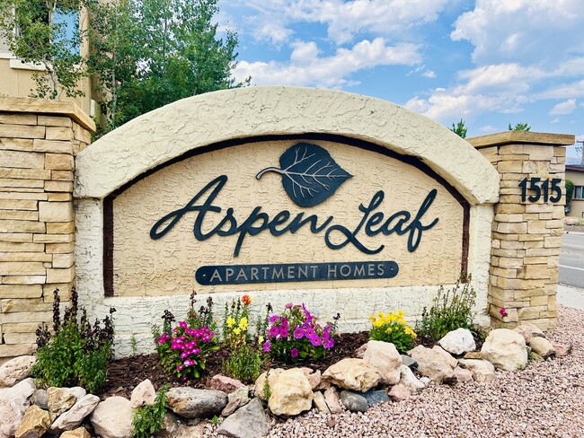 Aspen Leaf