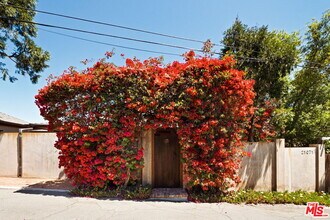21071 Waveview Dr in Topanga, CA - Building Photo - Building Photo
