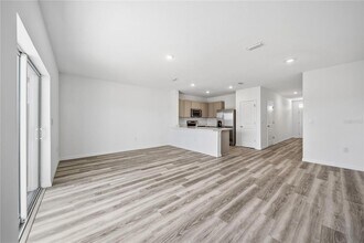 2480 Riversong Ldg Ln in Wesley Chapel, FL - Building Photo - Building Photo