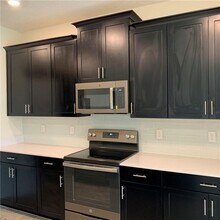 11325 Satire St in Orlando, FL - Building Photo - Building Photo