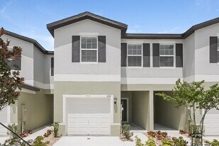 2137 Great Sapphire Ln in Lutz, FL - Building Photo