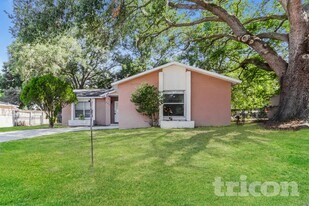 605 Missionwoode Dr in Seffner, FL - Building Photo