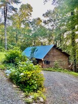 808 Mill Stone Mountain Ln in Blue Ridge, GA - Building Photo