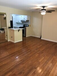 226 Catharine St, Unit 2nd floor photo'