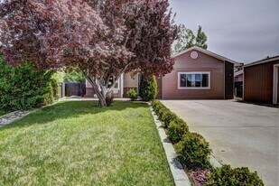 1000 Red Bud Ct in Fruita, CO - Building Photo