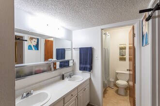 Sherwood and Forest Arms Apartments in Davis, CA - Building Photo - Interior Photo