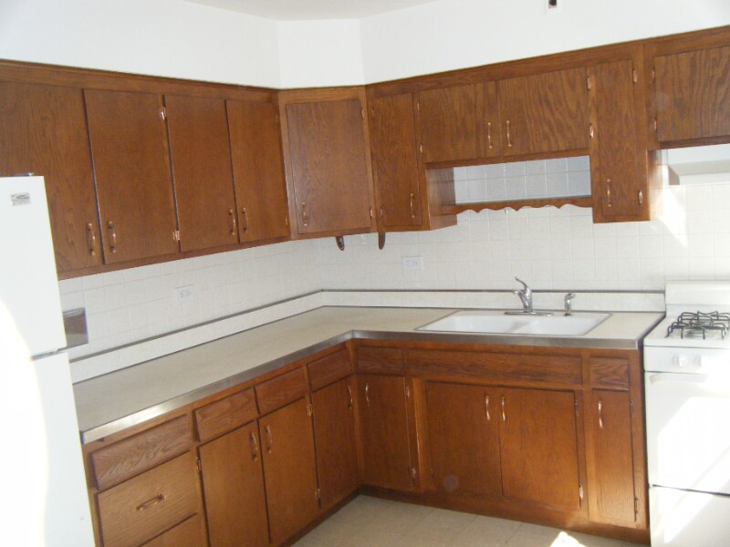 7222 Dixon St in Forest Park, IL - Building Photo